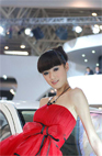 2008,北京车展,专题